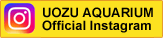 UOZU AQUARIUM Official Instagram
