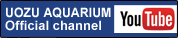 UOZU AQUARIUM YouTube Official channel