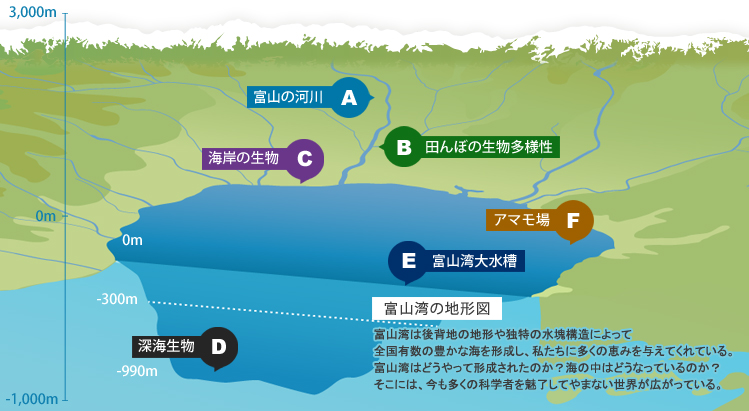 富山湾の地形図
