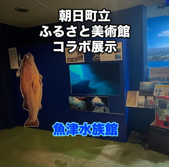 ー
朝日町立ふるさと美術館
⭐️コラボ企画⭐️
朝日町宮崎鹿嶋神社伝承【竜宮への道】
映像展うおすいエディション
開催中🐟
さらに、朝日町宮崎で一本釣りされる、富山湾を代表する大魚「オイボ」の等身大パネルも展示❗️

１．内容　朝日町宮崎映像展での水中映像
　　　　　オイボ（オオクチイシナギ）
　　　　　等身大パネル　全長：180㎝
２．場所　魚津水族館２階　波の水槽横
３．期間　令和７年５月13日（火）～
　　　　　8月31日（日）
４．その他　６月14日（土）は
　　　　　　朝日町宮崎のソウルフードの
　　　　　　タラ汁（1杯¥300）が味わえます👏

#朝日町立ふるさと美術館
#魚津水族館 #朝日町宮崎映像展示
#オイボ #オオクチイシナギ
#ヒスイ海岸 #富山湾 #富山 #魚津 #朝日町 #水族館 #uozuawuarium #aquarium